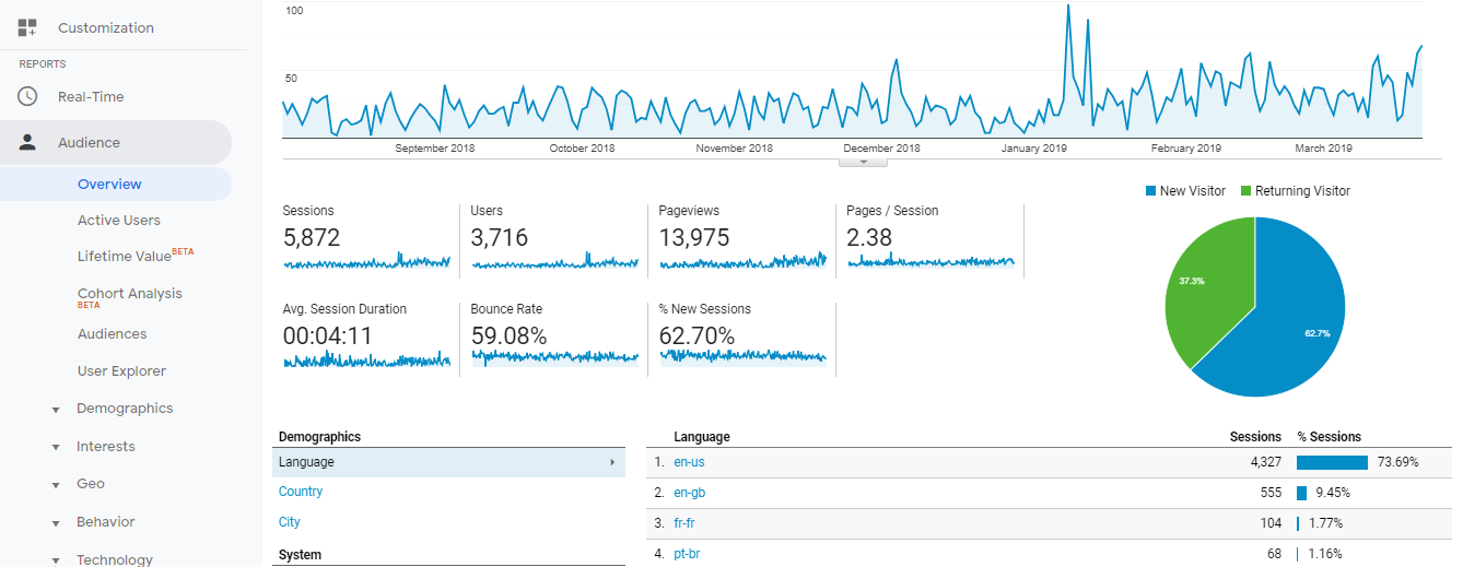 Visitor Analysis Report